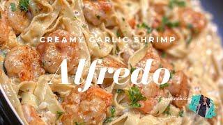 THE BEST HOMEMADE CREAMY SHRIMP ALFREDO RECIPE  QUICK & EASY WEEKNIGHT MEAL