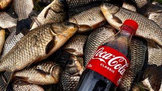 Карась на CocaCola в ДЕБРЯХ КАМЫША Рыбалка на удочку. Поплавок КРУПНЫМ планом