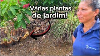 Plantamos várias espécies de PLANTINHAS de jardim no SÍTIO  Ideia maravilhosa com as telhas velhas…