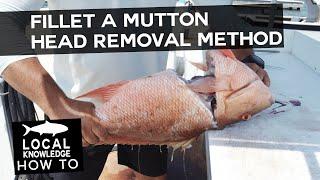 How to Fillet A Mutton Snapper Head Removal Method  Local Knowledge Fishing Show