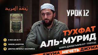 Урок 12 Халя ад-дину تحفة المريد Тухфат