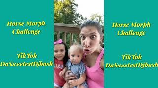 All Horse Morph #TikTok Challenges Compilation