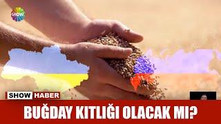 Buğday kıtlığı olacak mı?