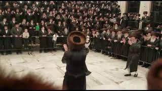 Pupa Rebbe Dancing @ Hachnosas Sefer Torah