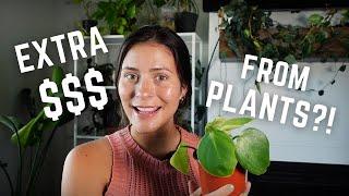 Make Extra Cash With Your Houseplants  Selling Plants From Home EASY