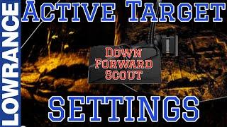 Active Target Settings Setup for Best Picture & How to Use it.  Lowrance Active Target 1 & 2 FFS