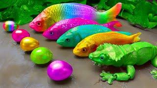 Colorful Gecko transformation Rainbow Eel Koi Fish Eggs Movement  Funny Crocodile Catfish Electric