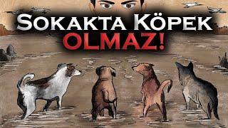 Sokakta Köpek Olmaz