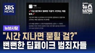 시간 지나면 묻힐 걸?…뻔뻔한 딥페이크 범죄자들  SBS  뉴브사탐