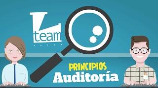 Auditoría Principios y Generalidades