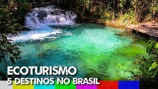 Ecoturismo e Turismo de Aventura 5 Dicas de Viagem no Brasil