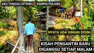 KISAH NYATA DITINGGAL PERGI ISTRI NYA DAN PILIH TINGGAL DI HUTAN