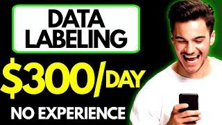 What is Data Labeling - How to do Data Labeling Work