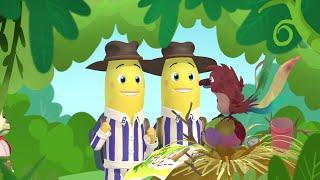 Mission Find The Rare Bird  Bananas in Pyjamas Season 1  Full Episodes  Bananas In Pyjamas