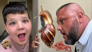 BUG HUNT with CALEB and DAD in BACKYARD with BUGS BOX SNAILS Slugs Worms Ants Spiders