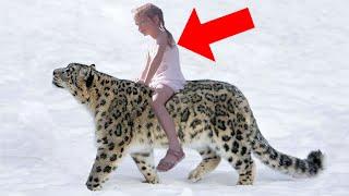 He Brought A Snow Leopard As A Gift To His Child. A Moment Later Something Unpredictable Happened