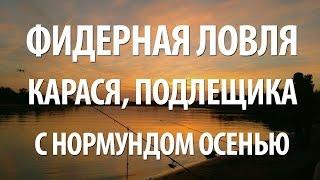 КАРАСЬ ПОДЛЕЩИК на ФИДЕР с НОРМУНДОМ ГРАБОВСКИСОМ ОСЕНЬЮ. КАК ЛОВИТЬ на ФИДЕР СОБРАТЬ СНАСТЬ