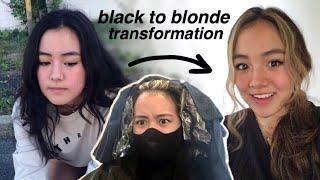 Bleaching my virgin hair black to blonde?