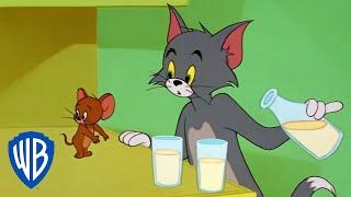 Tom y Jerry en Latino  Tom y Jerry en pantalla grande  WB Kids