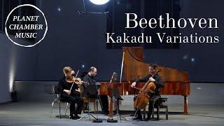 Beethoven Piano Trio «Kakadu Variations»  Faust  Queyras  Melnikov