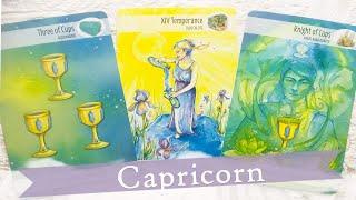 Capricorn You can be you and still have a wonderful relationship with this person.