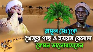 একটা মরা খেজুর গাছ ও হযরত বেলাল নবীজির কেমন পাগল ছিলেন।মুফতি জহিরুল ইসলাম ফরিদী jahirul islam poridi