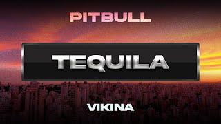 Pitbull x Vikina - Tequila Visualizer