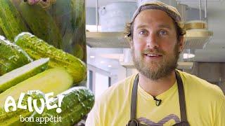 Brad Makes Crunchy Half-Sour Pickles  Its Alive  Bon Appétit