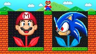 Can Mario Collect Mario and Sonic FLOWER in New Super Mario Bros Wii  Game Animation