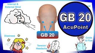 Acupuncture point GB 20 Functions