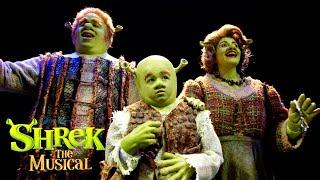 The Opening Number  Shrek the Musical