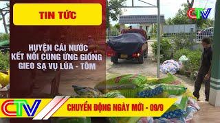 CHUYỂN ĐỘNG NGÀY MỚI 09-9-2024  HUYỆN CÁI NƯỚC KẾT NỐI CUNG ỨNG GIỐNG GIEO SẠ VỤ LÚA - TÔM