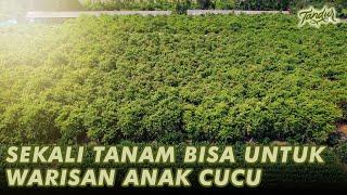 Maksimalkan Lahan Di Desa Bisa Hidup Sejahtera Lintas Generasi