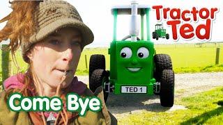 Come Bye   New Tractor Ted Trailer  Tractor Ted Official Channel