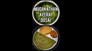 #shorts  Mudakathan Keerai Dosai  Balloon Vine Leaves Dosa  முடக்கத்தான் தோசை செய்வது எப்படி