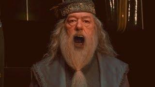 THE WRATH OF DUMBLEDORE