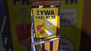 Porządna reklama