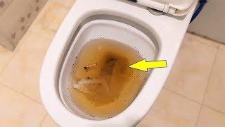 3 minutes to quickly unclog a clogged toilet do you know how easy it is?  100% success 