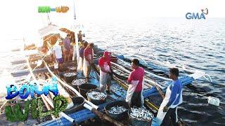 Born to be Wild Lawlaw fishing in Bulan Sorsogon