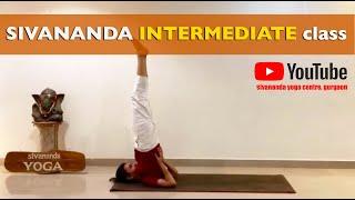 Sivananda Yoga Class - 60 min session  Intermediate variations