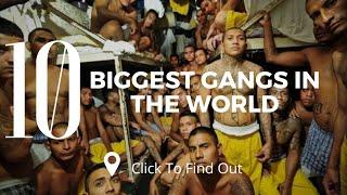 Top 10 Biggest Gangs In The World