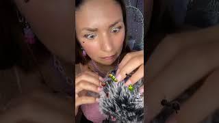 Searching for Bugs   w ASMR Miss Mi #asmr #shorts no. 130 #shortsvideo