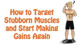 21. Custom Workout to Targeting Lagging Muscle Groups