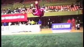 Wu Gang - Ditang Quan - 1996 China Wushu Nationals