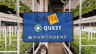 Gavita Quest and Energy Rebates