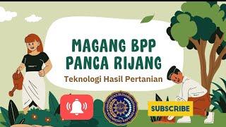 MAGANG BPP PANCARIJANG TAHUN 2024