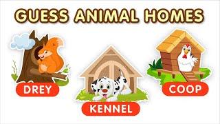 Guess Home of Animals  30 Animals and their Homes