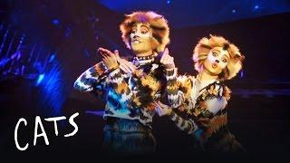 Mungojerrie and Rumpelteazer  Cats the Musical