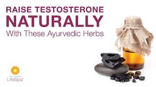 Raise Testosterone Naturally with These Ayurvedic Herbs  John Douillards LifeSpa