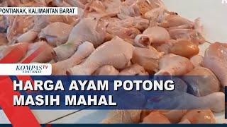 Pasca-Idul Adha Harga Ayam Potong di Pasar Tradisional Pontianak masih Mahal